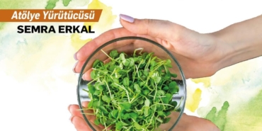 Bahçede Yaşam Var: Chia Tohumlarıyla Heykel