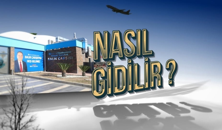 Antalya’nın Tarihine Yolculuk: Müze Keşfi