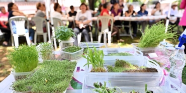 Bahçede Sanat ve Doğa Buluşması: Atölye Keyfi