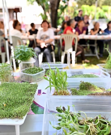 Bahçede Sanat ve Doğa Buluşması: Atölye Keyfi