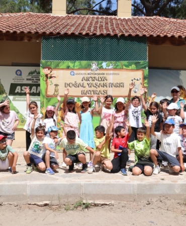 Kaplumbağa Etkinliği ile Doğa Sevgisi Aşılıyoruz!