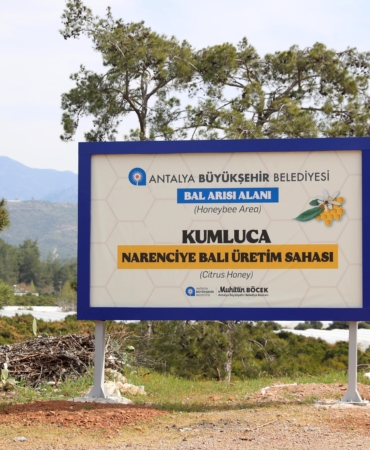 Antalya’da Narenciye Balı İçin Yeni Adım!