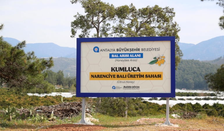 Antalya’da Narenciye Balı İçin Yeni Adım!
