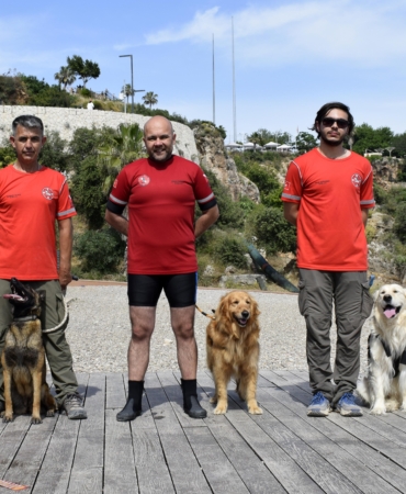 Zeyna, Tina ve Bulut: Afetlerde Kahraman Köpekler