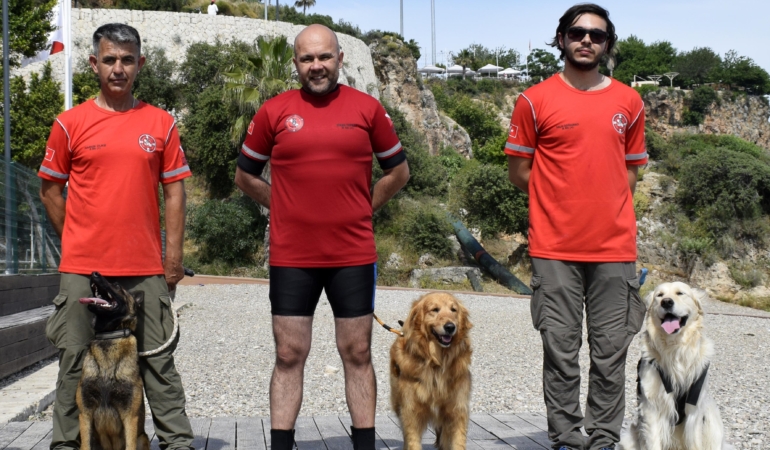 Zeyna, Tina ve Bulut: Afetlerde Kahraman Köpekler