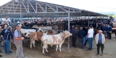 Kurbanlık Pazarı Sandıklı’da Canlılık Kazandı!