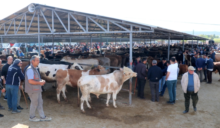 Kurbanlık Pazarı Sandıklı’da Canlılık Kazandı!