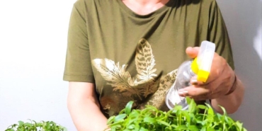 Doğa ve Sanat Buluşuyor: Mikro Yeşillik Atölyesi