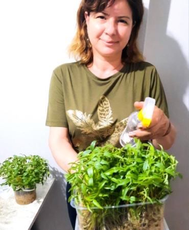 Doğa ve Sanat Buluşuyor: Mikro Yeşillik Atölyesi