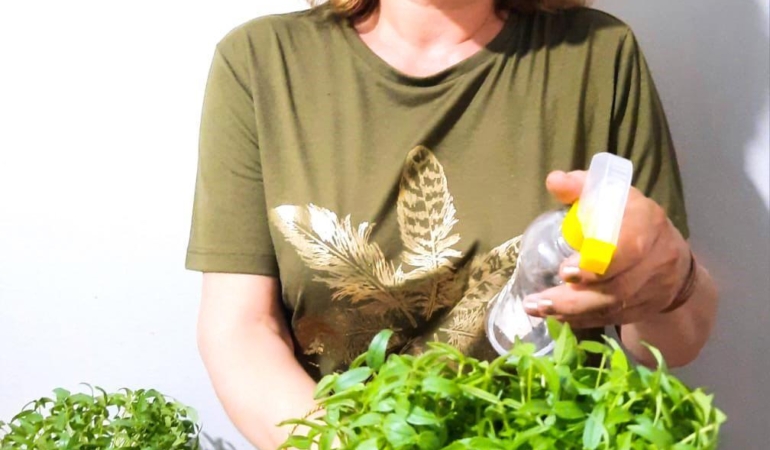 Doğa ve Sanat Buluşuyor: Mikro Yeşillik Atölyesi