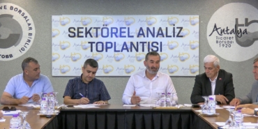 Buğday Hasadı Öncesi Fiyat Beklentisi Yükseliyor