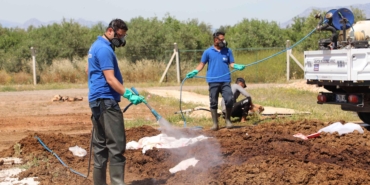 Antalya’da Kurban Bayramı İçin İlaçlama Seferberliği