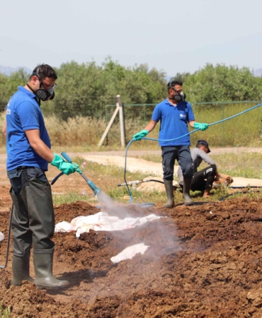 Antalya’da Kurban Bayramı İçin İlaçlama Seferberliği