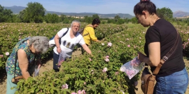 Güneykent’te Gül Turizmi İçin Hazırlıklar Tamam!