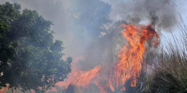 Antalya’da Çalılıkta Yangın: 1,5 Saatlik Mücadele!