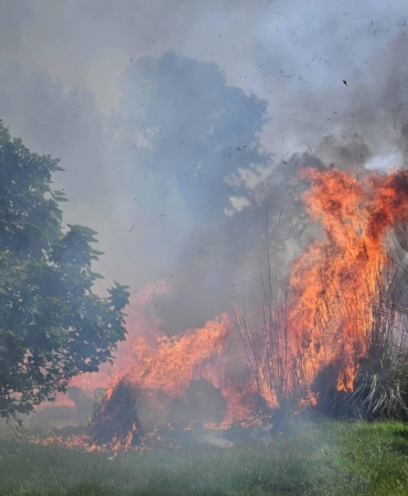 Antalya’da Çalılıkta Yangın: 1,5 Saatlik Mücadele!