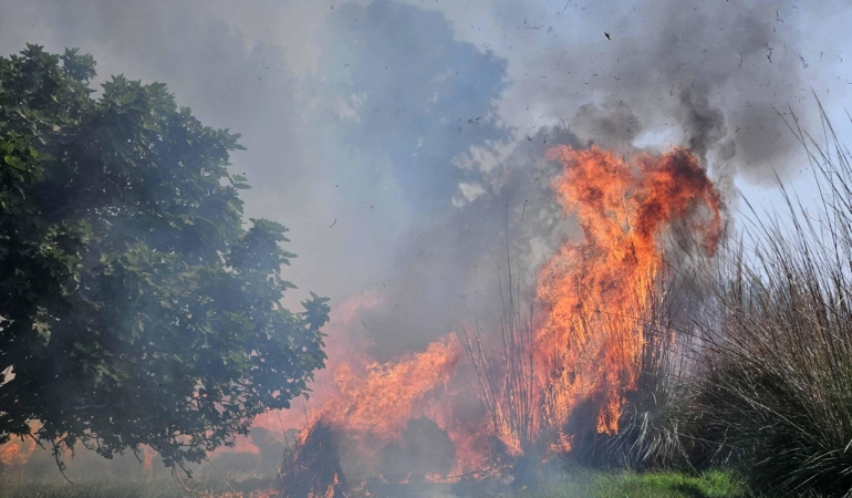 Antalya’da Çalılıkta Yangın: 1,5 Saatlik Mücadele!