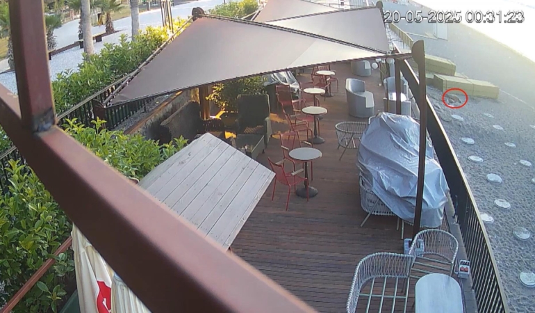 Konyaaltı Sahili’nde Caretta Caretta Yuvası Bulundu