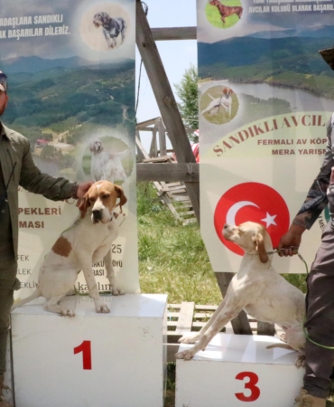 Sandıklı’da Av Köpekleri Yarıştı, Ödüller Dağıtıldı!