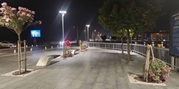 Vandallar Konyaaltı’nda Zakkum Ağaçlarını Kırdı!