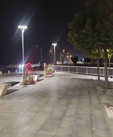 Vandallar Konyaaltı’nda Zakkum Ağaçlarını Kırdı!