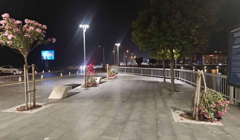 Vandallar Konyaaltı’nda Zakkum Ağaçlarını Kırdı!