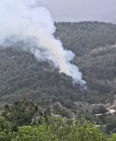 Antalya Kumluca’da Orman Yangını! Mücadele Başladı!