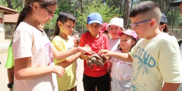 Antalya’da Çocuklar Kaplumbağalarla Buluştu!