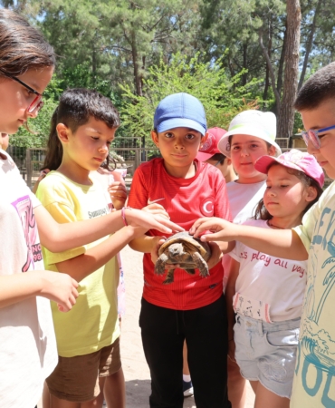 Antalya’da Çocuklar Kaplumbağalarla Buluştu!