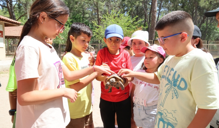 Antalya’da Çocuklar Kaplumbağalarla Buluştu!
