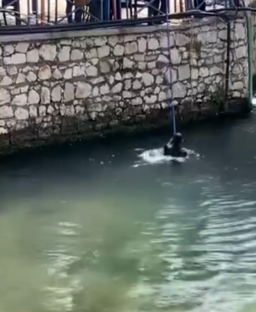 Polisten Kaçarken Dereye Atladı, Hortumla Kurtarıldı