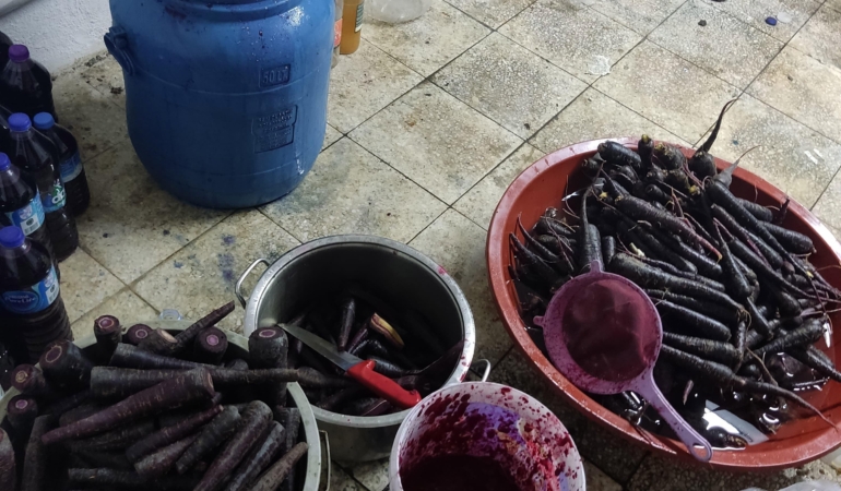 Alanya’da Hijyen Kurallarına Aykırı Şalgam İmalathanesi Mühürlendi