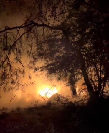 Isınmak İçin Yaktığı Ateş Ormanı Tehlikeye Attı