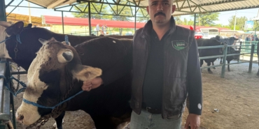 Kurban Bayramı’nda Isparta’da Pazar Hareketliliği!