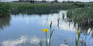 Eber Gölü ‘Ava Kapalı Bölge’ İlan Edildi!