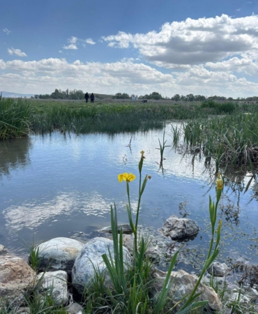 Eber Gölü ‘Ava Kapalı Bölge’ İlan Edildi!
