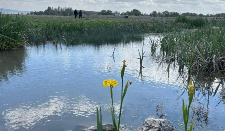 Eber Gölü ‘Ava Kapalı Bölge’ İlan Edildi!