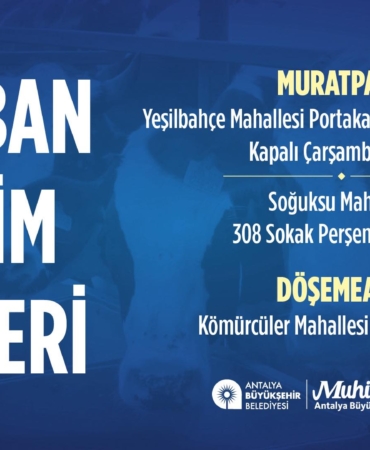 Antalya’da Ücretsiz Kurban Kesim Noktaları