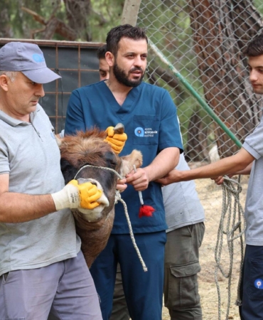 Antalya’da Kurban Bayramı Hazırlıkları Tamamlandı!