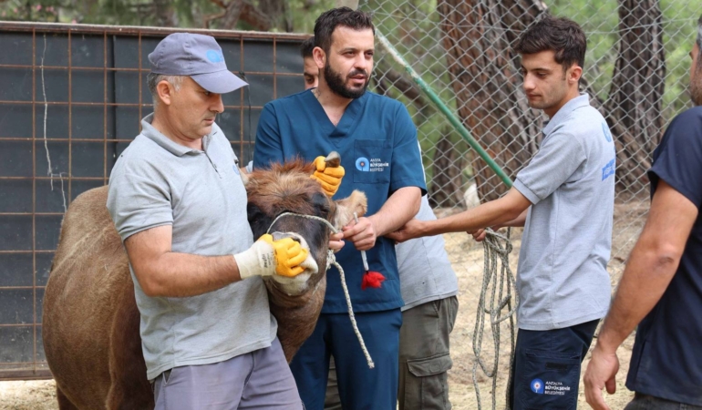 Antalya’da Kurban Bayramı Hazırlıkları Tamamlandı!