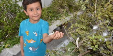 Çocuklar İpek Evi’nde Eğlenerek Öğrendi!