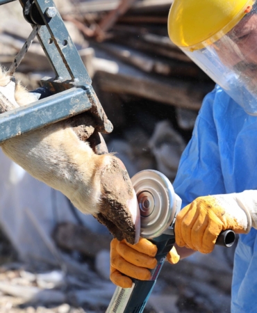 Kırsalda Hayvancılığa Güçlü Destek Paketleri! 🌾🐄