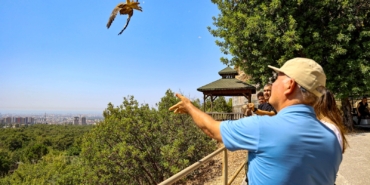 Kerkenez Yavruları Doğaya Kavuştu! 🦅🌿