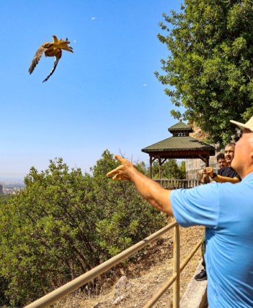 Kerkenez Yavruları Doğaya Kavuştu! 🦅🌿