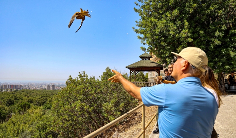 Kerkenez Yavruları Doğaya Kavuştu! 🦅🌿