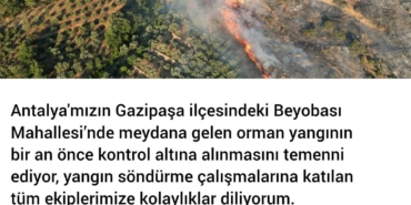 Gazipaşa’da Orman Yangınına Dikkat Çekildi!