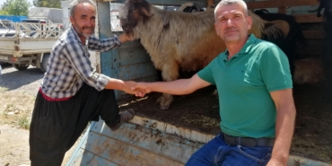 Gazipaşa’da Kurban Pazarı Hareketliliği Devam Ediyor