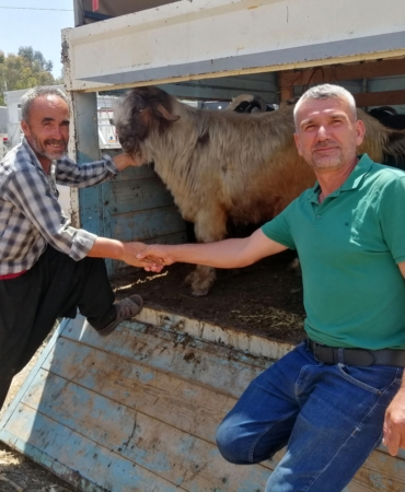 Gazipaşa’da Kurban Pazarı Hareketliliği Devam Ediyor