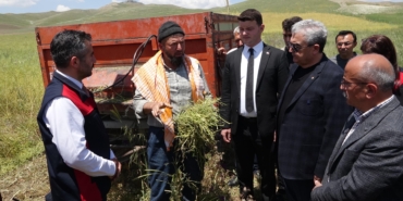 Yem Şalgamında Su Tasarrufu ile İlk Hasat!