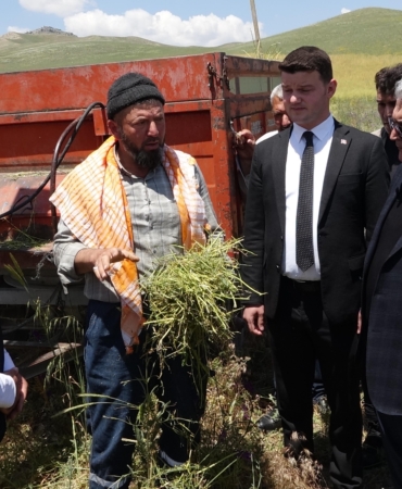 Yem Şalgamında Su Tasarrufu ile İlk Hasat!